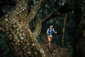 BIB: 
                            <button type="button" onclick="openModal(25695152)" class="btn btn-primary btn-sm float-right btn-popup" data-toggle="modal" data-target=".modal-high-quality">
                        <i class="fas fa-shopping-cart"></i> Add to Cart
                    </button>
                                            <button type="button" onclick="isThisMe(25695152, true)" class="btn btn-success btn-sm float-right btn-popup btn-isme hidden" data-toggle="tooltip" data-placement="bottom" title="นี่คือรูปของคุณใช่ไหม คลิกที่นี่เพื่อเอาเข้าอัลบั้ม">
                        <i class="fas fa-plus"></i> Add to album
                    </button>
                    <button type="button" onclick="isThisMe(25695152, false)" class="btn btn-warning btn-sm float-right btn-popup btn-isnotme hidden">
                        <i class="fas fa-ban"></i> Remove from album
                    </button>